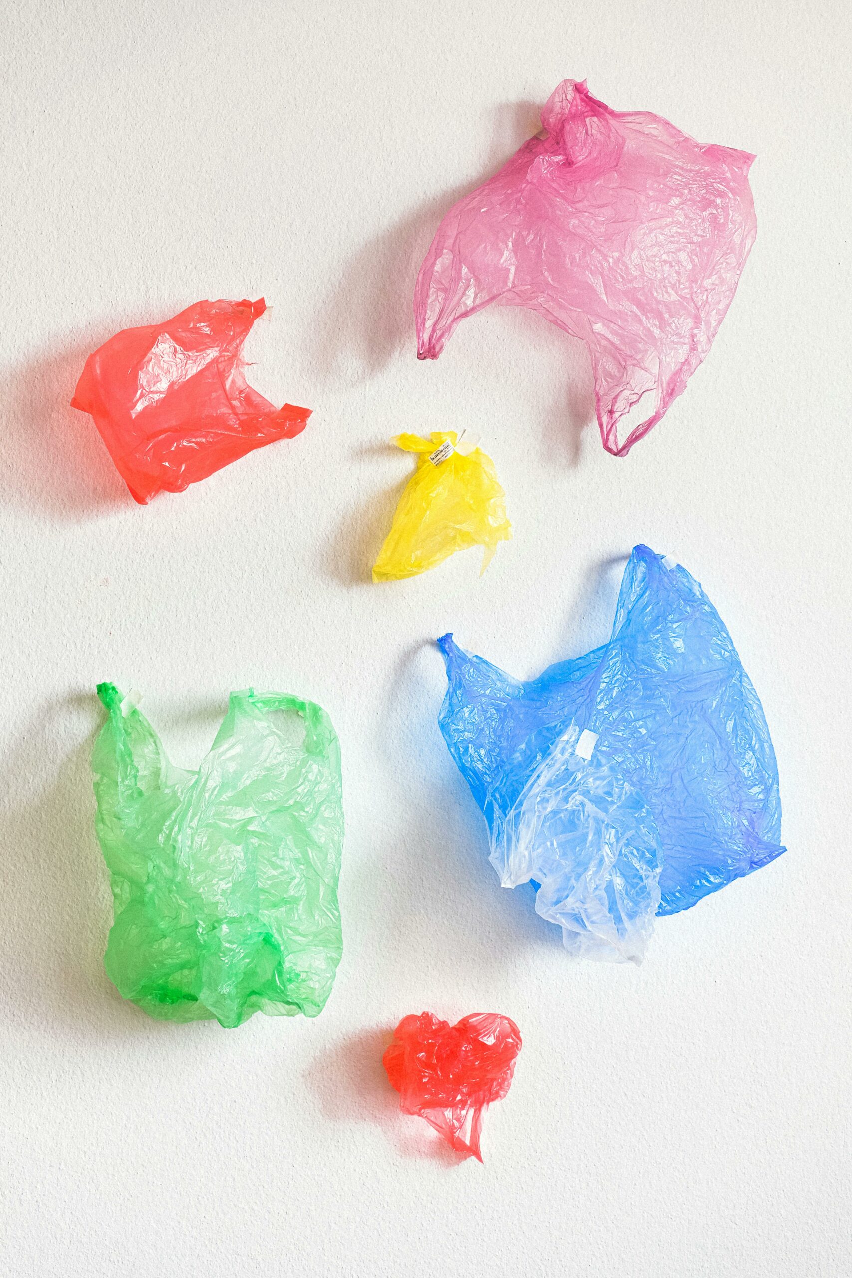 les arts visuels